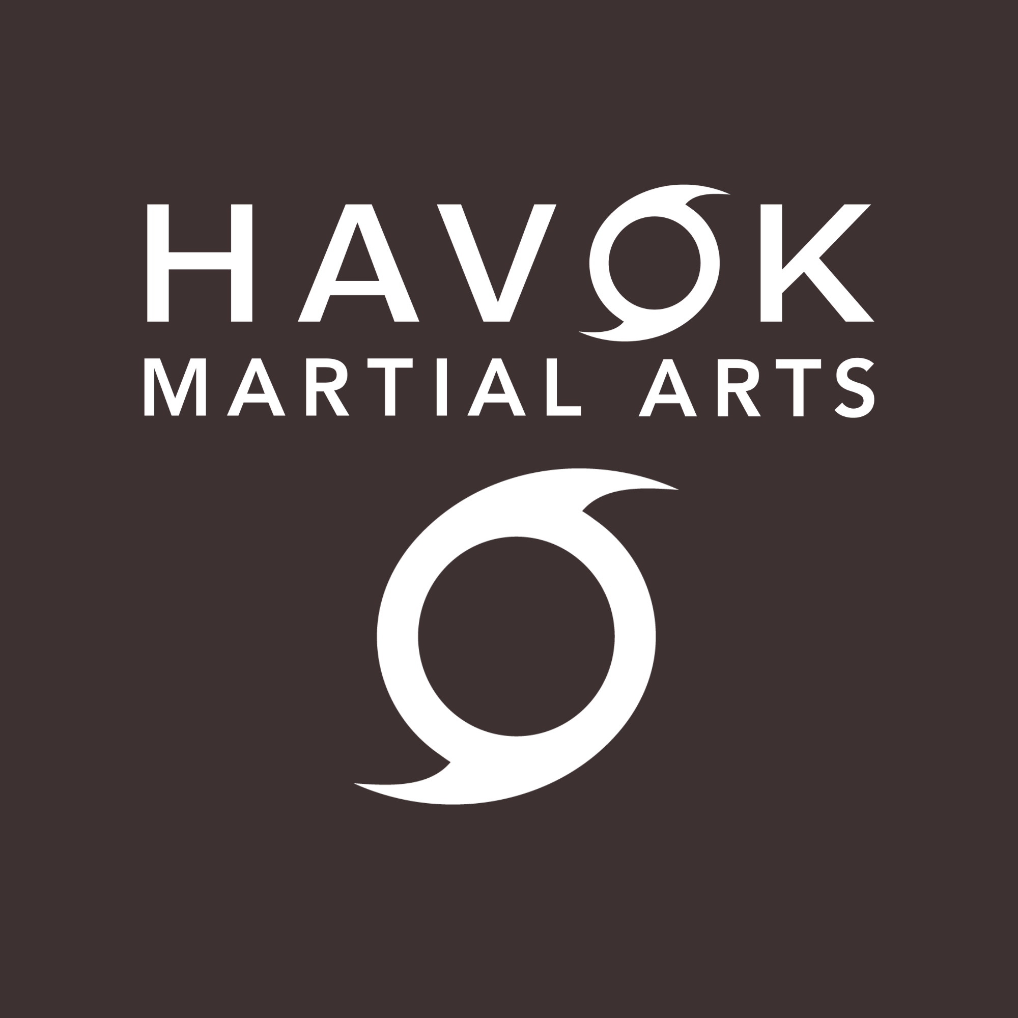 Havok Martial Arts