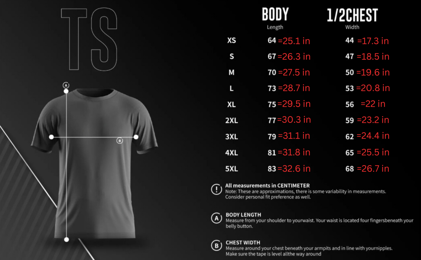 HBJJ Fightwear Gray Dry Fit Short Sleeve T-Shirt (runs small so one size up recommended)